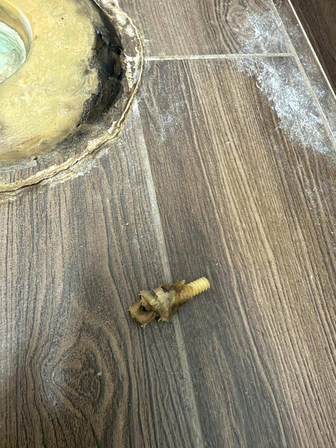 Close-up of existing toilet mounting hardware and old seal