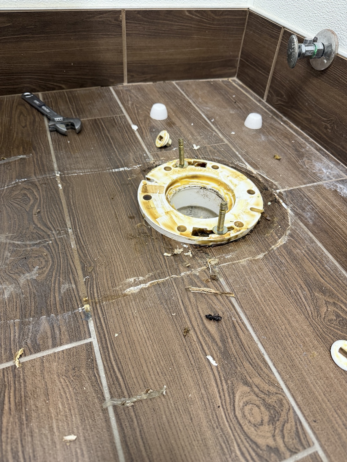 Toilet flange and mounting bolts during the Mattress Firm repair